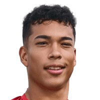 莱安德罗·埃斯特切头像