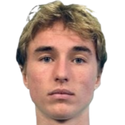 埃米尔·什利奇丁头像