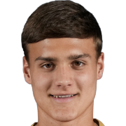 拉扎尔·米拉迪诺维奇头像