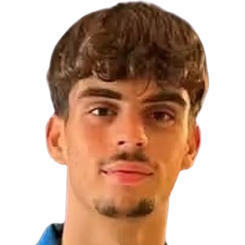 马特奥·福斯卡尔多头像