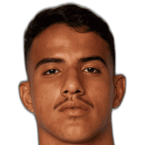 拉斐尔·蓬特洛头像