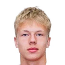 伊万·索罗金头像