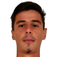 克里斯蒂安·博斯科维奇头像