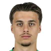 利安德·波普头像