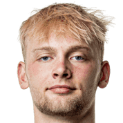 阿斯克·安德森头像