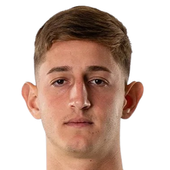 尼古拉斯·杜贝尔萨斯基头像