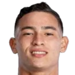 费尔南多·迪亚兹头像