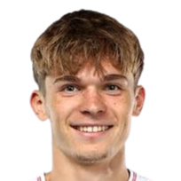 里昂·赖查德头像