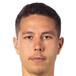 尼古拉斯·罗杰亚头像