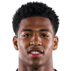 舒兰迪·桑博头像