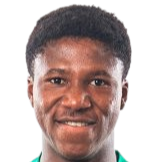 德曼·卡里姆头像