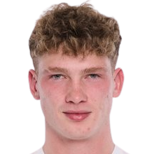 多米尼克·马赛克头像