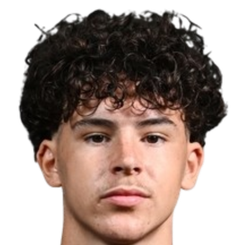 卢伊克·费尔南德斯头像