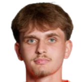 阿尔丁·索蒂克头像