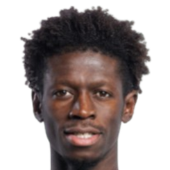 瓦格尼·法耶头像