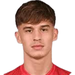 博格丹·米尔塞蒂奇头像