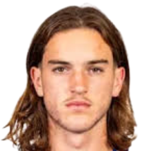 米兰·莱切塞头像