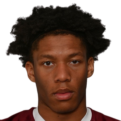 维克多·恩尼姆头像