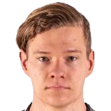 赖子·伊尔维斯头像