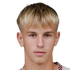 多米尼克·多比斯头像