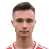 尼科·加里克头像