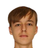 丹尼斯·巴兰丁头像