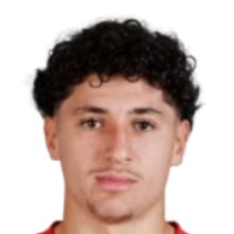 阿纳斯·塔贾乌尔特头像