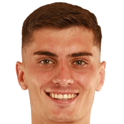 费尔丁·霍扎头像