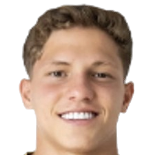 温德森·万德利·桑托斯·德·梅洛头像