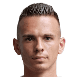 奥马尔·帕萨吉奇头像