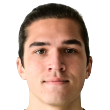 柏拉图·普拉托诺夫头像