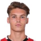 乔尔·伯格·登·范头像