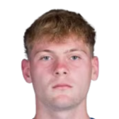 瓦伦特·皮拉尼头像