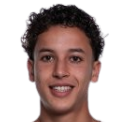 阿米尔·布哈姆迪头像