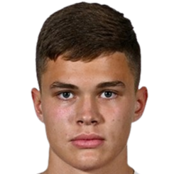 武科耶维奇头像