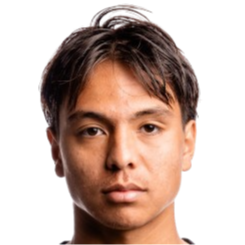 阿德里安·维博沃头像