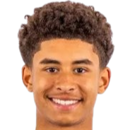 阿迪尔·哈姆达尼头像