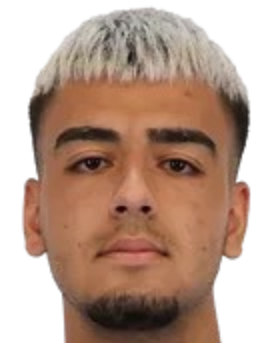 图兰·德尼兹·通斯头像