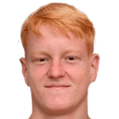 洛夫罗·戈利奇头像