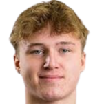 乔尔·廷基宁头像