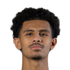 纳萨尔·菲哈尼头像