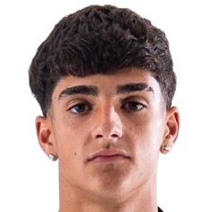 维克托·费尔南德斯头像