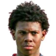 代因内·奥尔多内斯头像