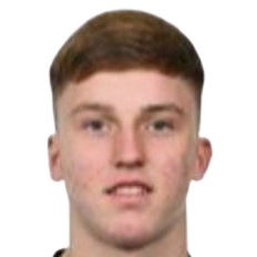 理查德·费里扎伊头像