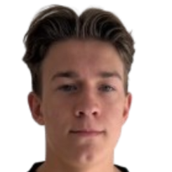 桑德雷·霍伊达尔头像