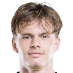 德米尔·梅尔梅奇头像