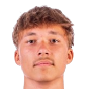 阿斯顿·维斯头像