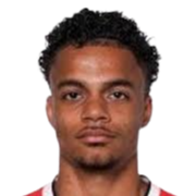 埃辛·巴西头像