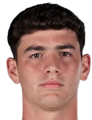 特奥·布·萨里翁头像