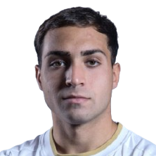 埃米利亚诺·派恩头像